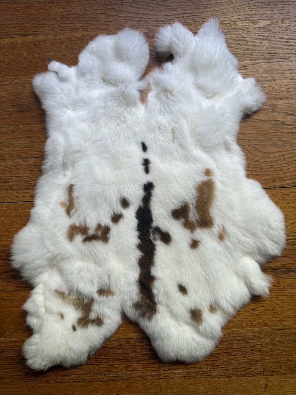 0855 Rex rabbit hide